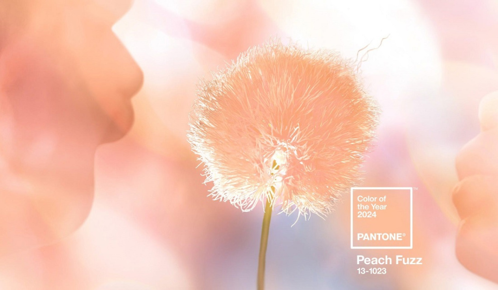 pantone-peach-fuzz-news-2.jpg