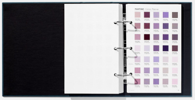https://colorimetr.ru/image/catalog/p/0/40/pantone-fhic300-4.jpg